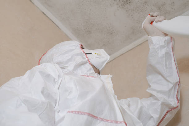 Best Post-Flood Mold Remediation in Melwood, MD